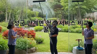 의성군 안계면 청소 서비스 비교 꿀팁🍯