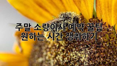 주말 소량이사 예약 꿀팁🍯: 원하는 시간 쟁취하기!