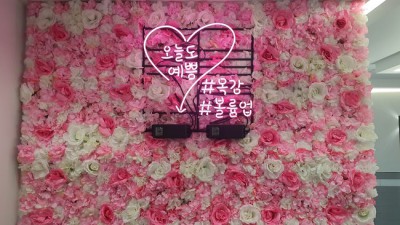 🌼내 마음을 담은 꽃밭, 꽃포토존 득템 후기! 봄맞이 할인 중!🌼