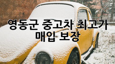 영동군 중고차 최고가 매입 보장!